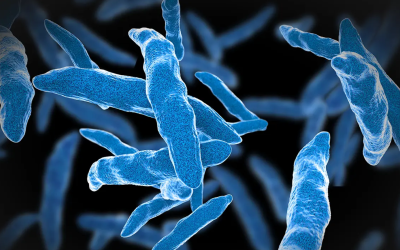 Tuberculosis, caused by the bacterium Mycobacterium tuberculosis, has reclaimed its spot as the deadliest infectious disease.